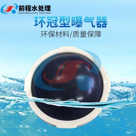 1602994851920894.jpg 環冠型曝氣器.jpg